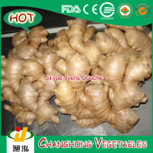 Chine 300g Air Dried Ginger avec 12kg / Box for UK Market